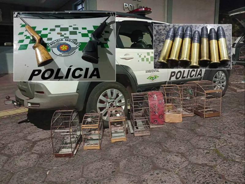 Fala Matao - Polícia Ambiental flagra criadouro ilegal de aves e apreende armas em Matão